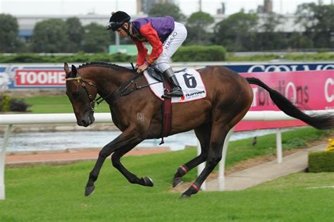 mystery trifecta ladbrokes|KILLER STRATEGIES FOR THE TRIFECTA .